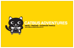 Catbus Adventures